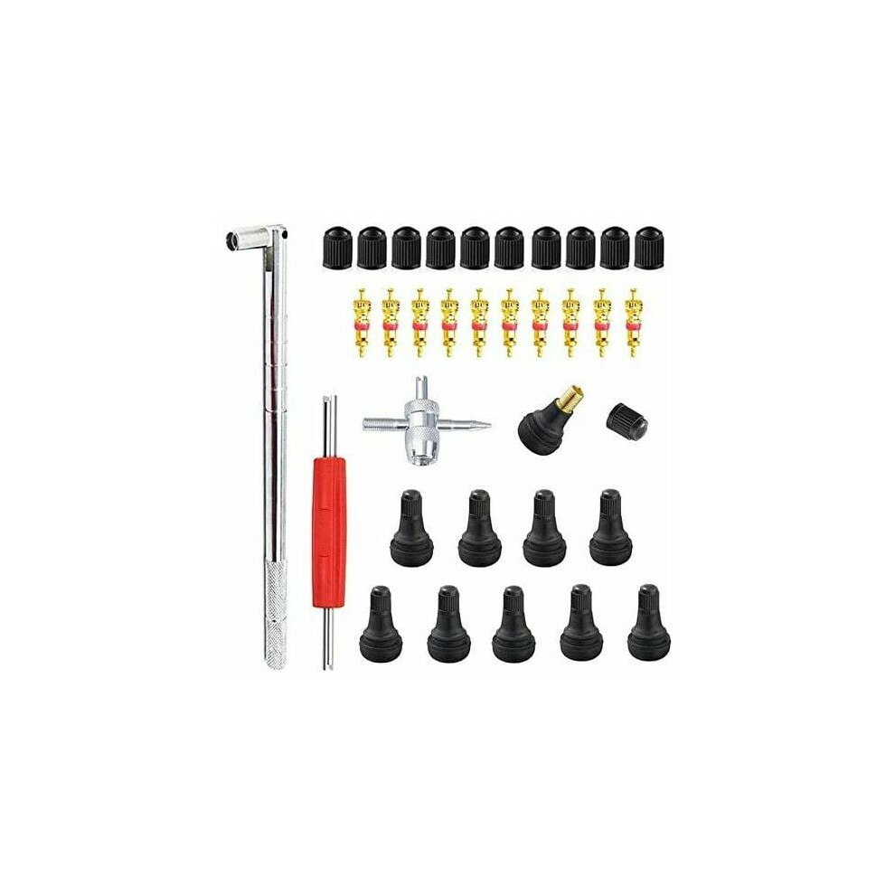 Snap-In Valve Stems Set, Tubeless Tire Valves Replacement, Valve Stem Cores, For Easy Installation And Removal On Cars, Motorcycles, Trucks (23Pcs) 9340959528035