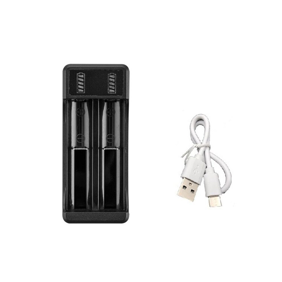 18650 Fast Charger With Type-C Cable 4.2V Lithium Battery Intelligent Charger For 14500 26650 18650 Battery, 2 Slot 6032125414923