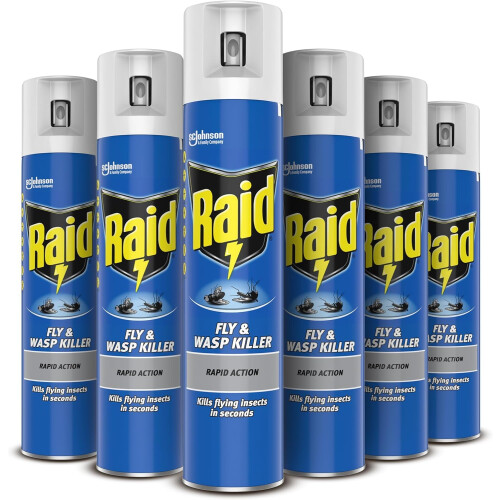 Raid Fly and Wasp Killer 300 ml (Pack of 6)