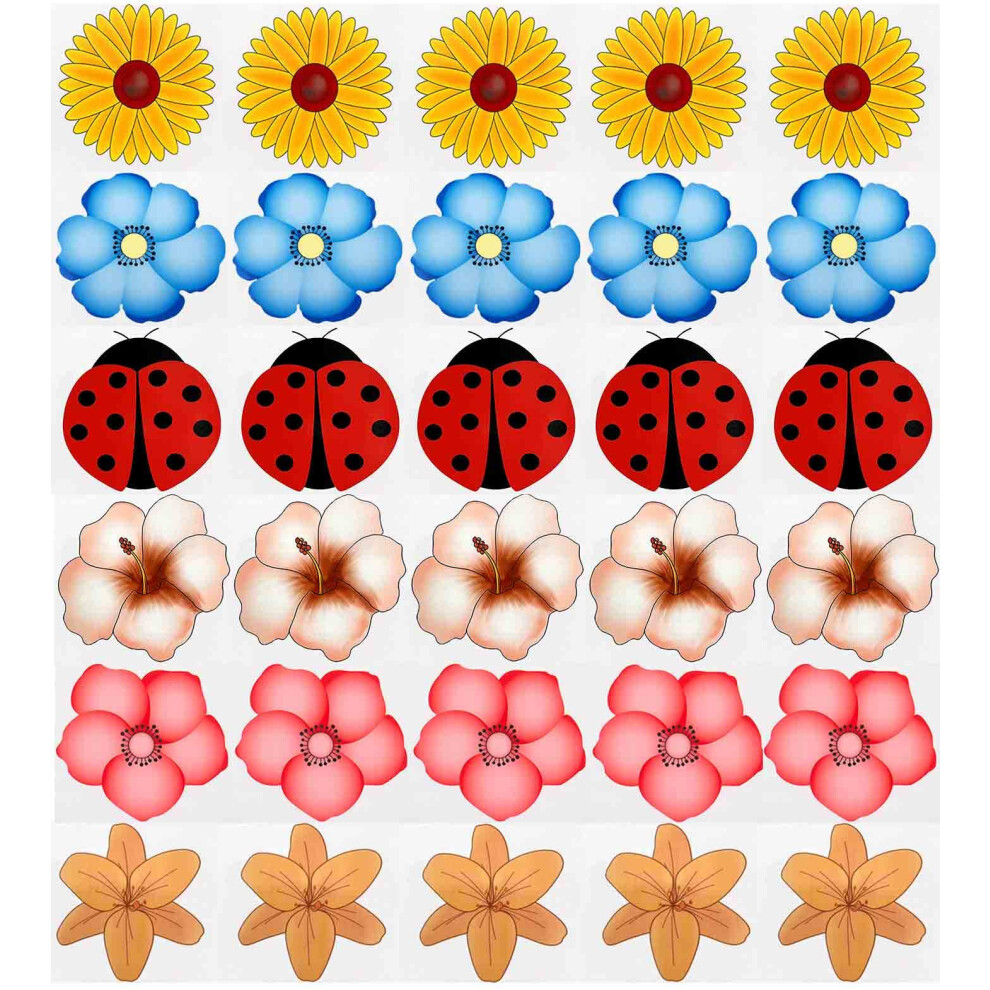 Ychelhr 30Pcs Window Fly Traps, Flies & Bug Window Fly Trap, Fly Trap Killer Stickers, Floral Pattern Design Sticky Fly Catcher For Indoor Houseflies Fly Gna