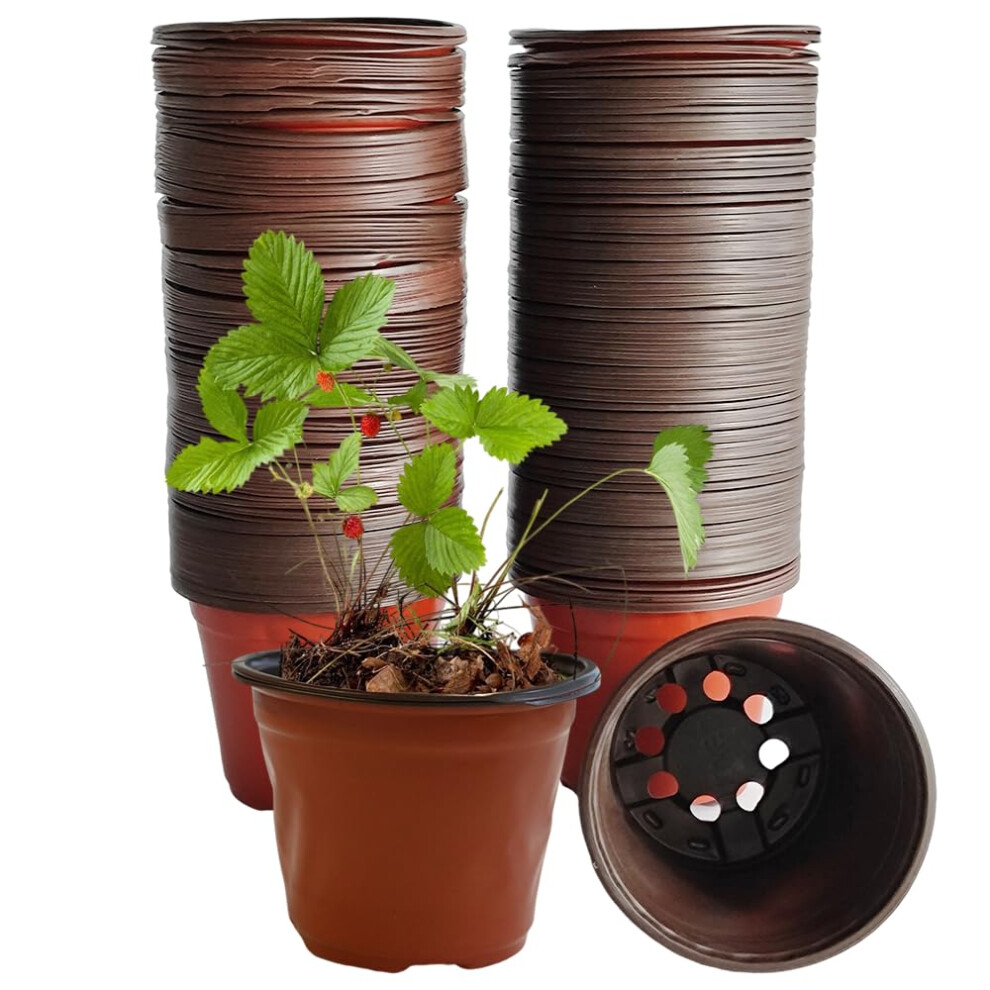Armo Gardening Armo 100 Pack Plastic Plant Pots 10Cm Seed Seedling Flower Vegetable Herbs Growing Greenhouse Plant Pot