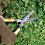 Amtech U0700 Garden Shears Wooden Handle for Hedges, Shrubs, and Grass 2