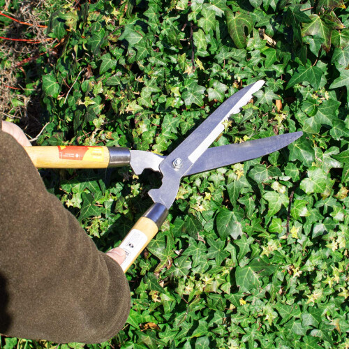 Amtech U0700 Garden Shears Wooden Handle for Hedges, Shrubs, and Grass 1