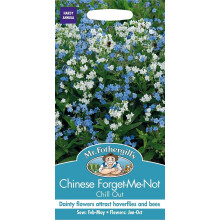 Mr. Fothergill's Chinese Forget-Me-Not Chill Out Flower Seeds