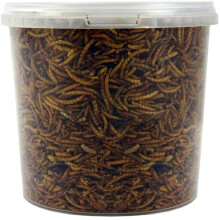 SQUAWK Dried Mealworms | Premium Garden Wild Bird Food Mix Balanced Formula | Protein-Rich, Great Source of Energy | Contains Beneficial Mixed Vitami