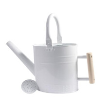 IMEEA 3.2L Watering Can with Rose Stainless Steel White Watering Can with Wooden Handle for Garden Flower House Plants Bonsai