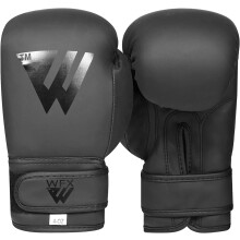 WFX Kids Boxing Gloves for Boys & Girls - 6 Oz Training MMA & Kickboxing - Muay Thai Youth Junior Gloves - Matte Black Gift (6 OZ, Black)