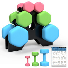 DICAO Dumbbells Set Women Men 12kg, Hex Weight Set with Stand & Fitness Poster, Slip&Sweat Resistant, for Home Gym Fitness Training(Pink 1kg/Green 2k