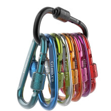 Gimars 10 PCS 6cm D Shape with Locking Screw Nuts Springloaded Gate Carabin