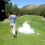 Second Chance On Par Awesome 4 Some Four Joke Balls - Exploder, Jetstreamer, Floater & Unputtaball 2