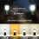 Lepro Camping Lantern Battery Powered Portable Small Camping Tent Lights AA 3