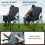 EVER ADVANCED Oversized Folding Camping Chair for Adults with Adjustable Lu 4