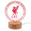 Storm International Liverpool EPL Crest LED Crest Light 2