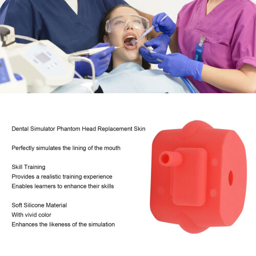Phantom Head Dental Simulator Manikin Haut – Weiches Silikonmodell 2