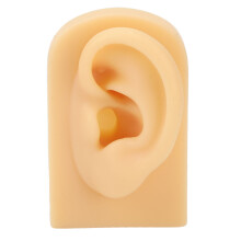 Modèle professionnel pour s'entraîner au piercing, moule d'oreille réaliste en silicone souple, pas besoin de moule pour la tête. Idéal pour les