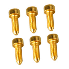 6PCS Gold Stainless Steel Guitar Tremolo Bridge Saddle Screws, Hex Head