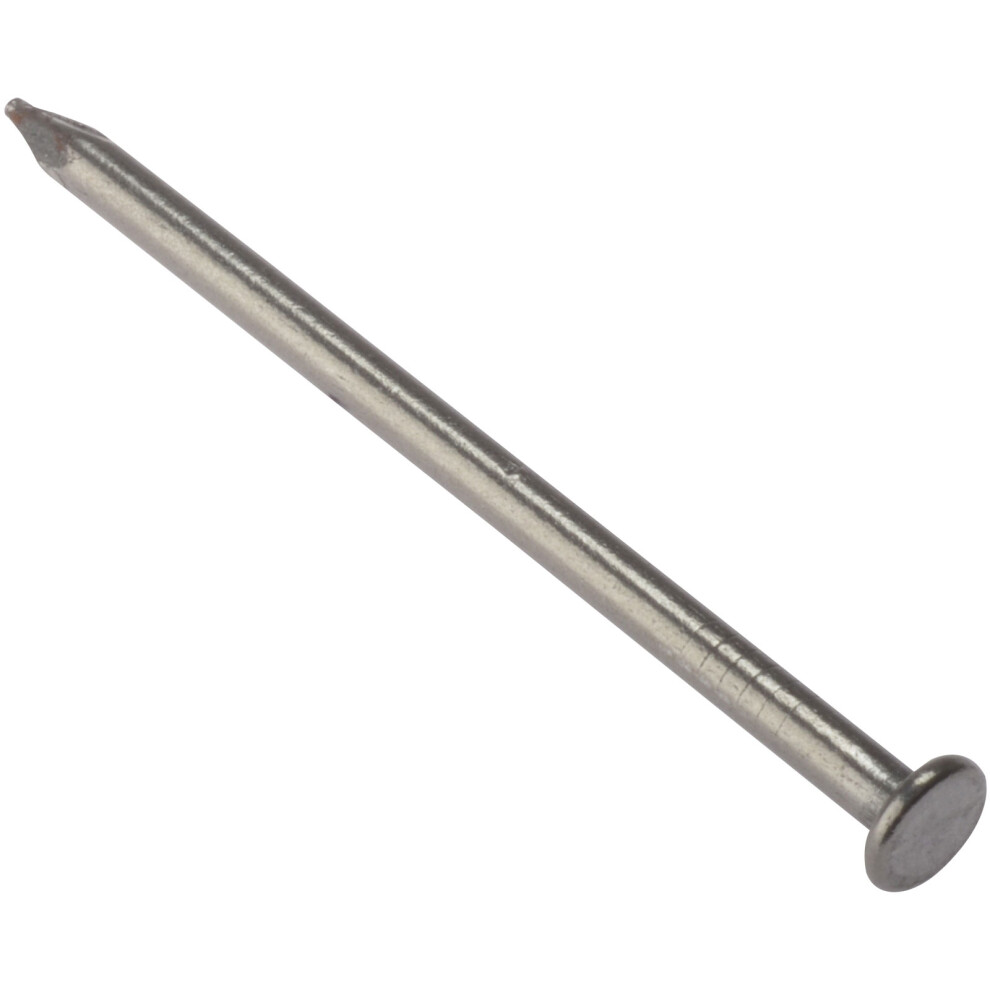 Forgefix Forge 500Nlrh25b Round Head Nail Bright Finish 25Mm Bag Of Of 500G