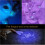 Επαγγελματικοί φακοί Blacklight Ultraviolet365NM UV Light για πολλαπλές χρήσεις, με μαύρο φακό 5