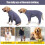 Dog Fleece Jacket Warm Winter Coat Four Legs Pullover for Medium Large Dogs 5