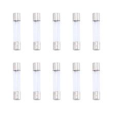 10 Stück Schnellschmelzfusien Glasrohrtyp 6x30mm 250V 10A