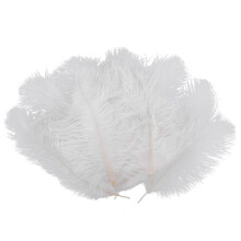 10 Stück weiße natürliche Straußenfedern 20-25cm Hochzeit DIY