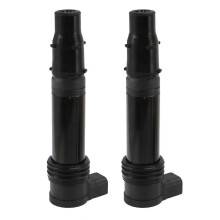 2 bobinas de encendido 129700-4580 para KAWASAKI ER6N EX650 Versys 650 KLE650A KLE650C ZR1000 Z10 Ninja 6