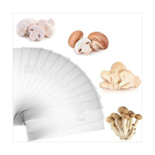 100 mushroom growing bags/mycelium bags, 6 mil thick bags, 15 x 35 cm, 0.2 micrometer filter, breathable