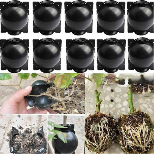 10-piece reusable plant rooting accessory set: cutting transplanter, root box, branch rooting propagator. 2