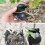 10-piece reusable plant rooting accessory set: cutting transplanter, root box, branch rooting propagator. 4