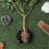 10-piece reusable plant rooting accessory set: cutting transplanter, root box, branch rooting propagator. 5