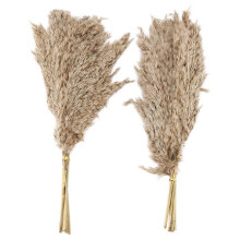 20 pieces of natural dried pampas grass, wild fluffy pompa flowers, boho decorative flowers compatible with outdoors