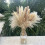 Πολλαπλών σκηνών DIY, Διακόσμηση Pampas Grass για Γάμο στο Σπίτι, Boho Διακόσμηση, Ειδικό 1