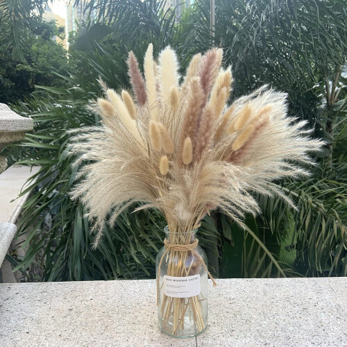 Πολλαπλών σκηνών DIY, Διακόσμηση Pampas Grass για Γάμο στο Σπίτι, Boho Διακόσμηση, Ειδικό