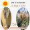 Πολλαπλών σκηνών DIY, Διακόσμηση Pampas Grass για Γάμο στο Σπίτι, Boho Διακόσμηση, Ειδικό 7