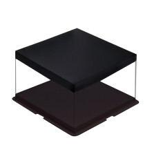 transparante vierkante taartdoos 27 cm met voor cupcakes