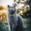 Collier Chat Vert 1 Tissu Doux Chic Confortable 9