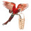 3Ud Cesta Para Loros Con Gancho Y Material Resistente 5