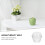 1Ud Para Velas DIY Manzana Transparente Plástico Creativo 8