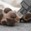 2Pièces Têtes De Pour Animaux Fer Durable 2