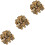 3 Packs Brachiopod Table Ornament Classroom Teaching Decor 5