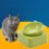 Single Raised Detachable Elevated Stand Dog for Cat Bowl-orange 7