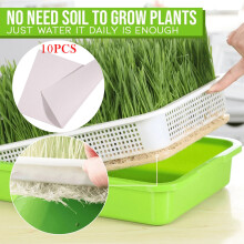 PP Material Seedling Containers Microgreens Growing Kit Healthy Wheatgrass Grower Soil-Free Seed Sprouter BPA-Free Sprouting Trays for Indoor and Outd