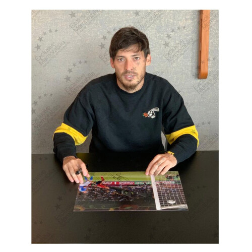 David Silva Signed Spain Photo: Euro 2012. Deluxe Frame 1