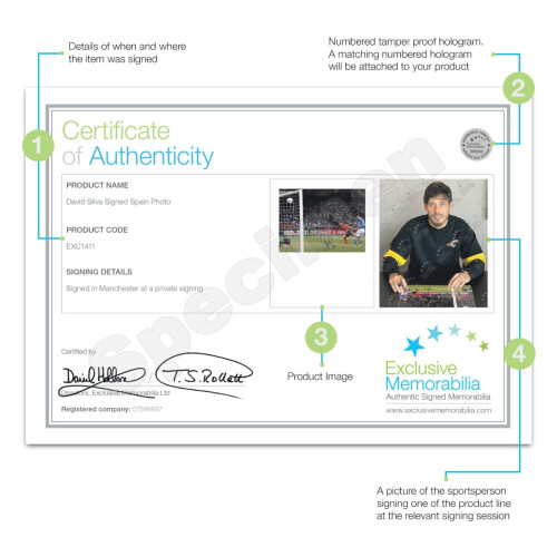 David Silva Signed Spain Photo: Euro 2012. Deluxe Frame 2