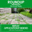 Roundup Roundup Path Optima 1L Fast Weed Control 4
