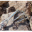 Climbing Essential: Grappling Hook, Solid Stainless Steel Grapnel Hook, Designed For Adventure And Utility 5