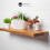 (60 cm, Walnut) Live Edge Rustic Floating Shelf made from Solid Wood, Chunky Old Slab Dark Oak 3