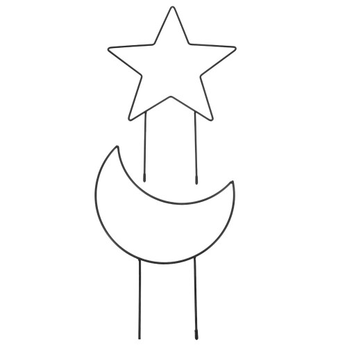 4St Creatief Zwart Metalen Plant Ster-En
