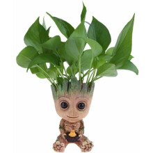 Maceta decorativa para suculentas, exquisita artesanía con diseño de Baby Groot, idea de regalo original para cumpleaños y Navidad, escritorio