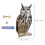 4Sets Owl Deko Hängend Winddrehend Garten Mehrfarben PP Material 11